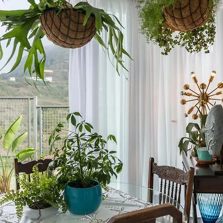 Cueva De Sacromonte 3*